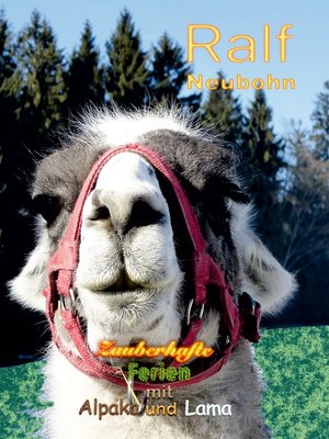 cover image of Zauberhafte Ferien mit Alpaka und Lama